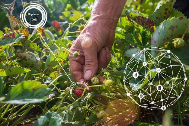 Преимущества сетчатых изделий в сельском хозяйстве и садоводстве – современные технологии и рекомендации